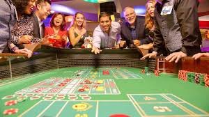 bank338 platform dashboard showing sportsbook, live dealer, and slots categories