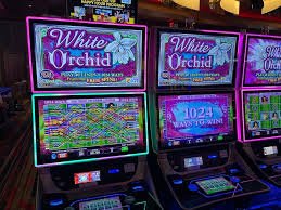 Starlight Princess slot interface showing reels and bet controls